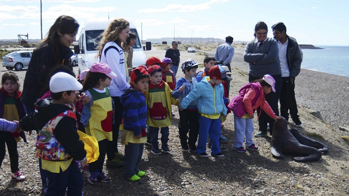 Transmiten a niños la importancia de proteger a los lobos marinos