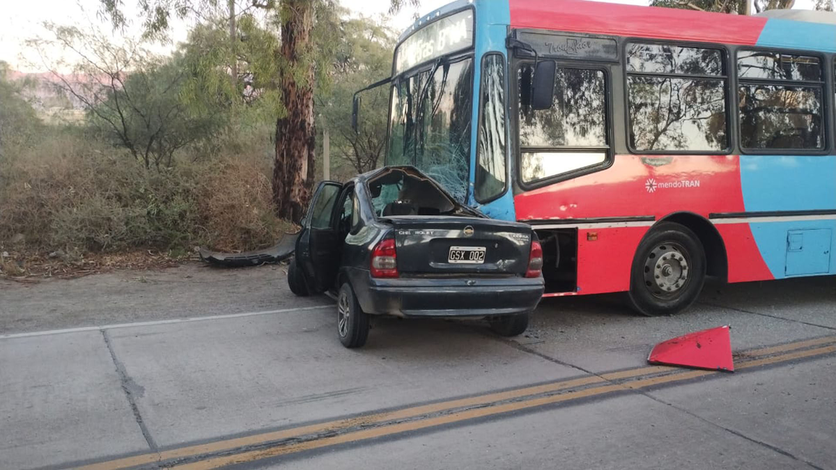 Quiso Esquivar Un Perro Choc Contra Un Colectivo Y Falleci