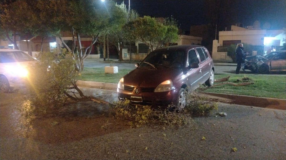 Lo Choc Un Borracho Y Por La Inercia Impact Contra Un Rbol