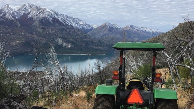 PAE y la Asociación de Amigos de la Patagonia plantaron más de 4 mil cipreses para recuperar el bosque nativo de Cholila.