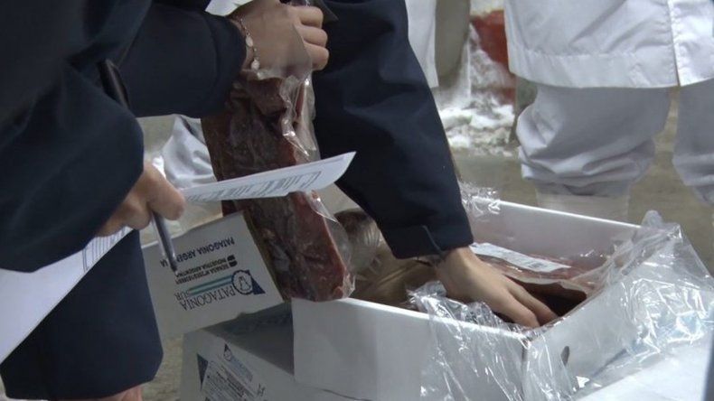 Argentina exportó 20 toneladas de carne de guanaco a Bélgica