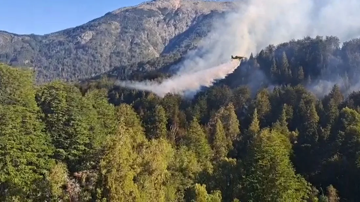 Dos Focos De Incendio En El Parque Nacional Nahuel Huapi