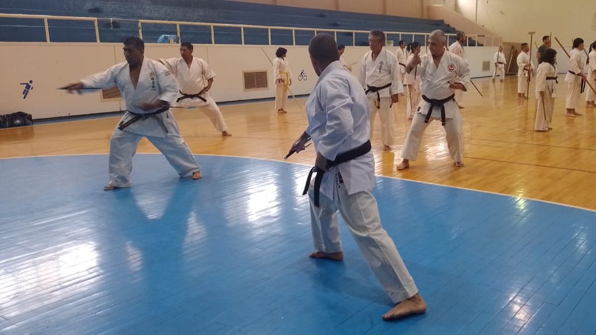 El karate y el kobudo tuvieron su primer seminario internacional