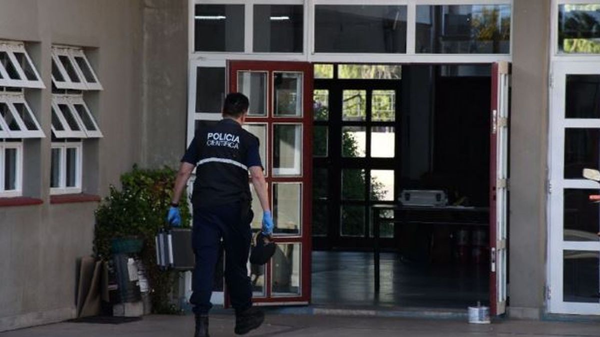 Ingresó armado a una escuela y le disparó a la docente