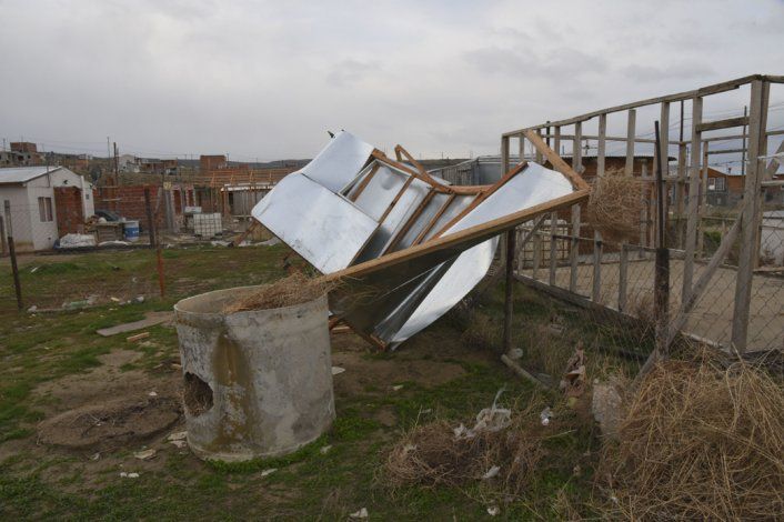 El intenso viento derribó una casa, árboles y generó voladura de techos