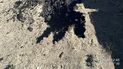 Detectan incidentes ambientales