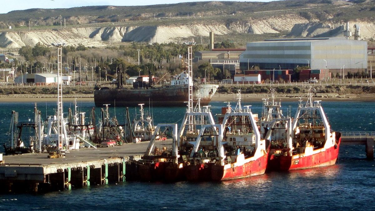 Altos niveles de actividad en el muelle Storni de Puerto Madryn