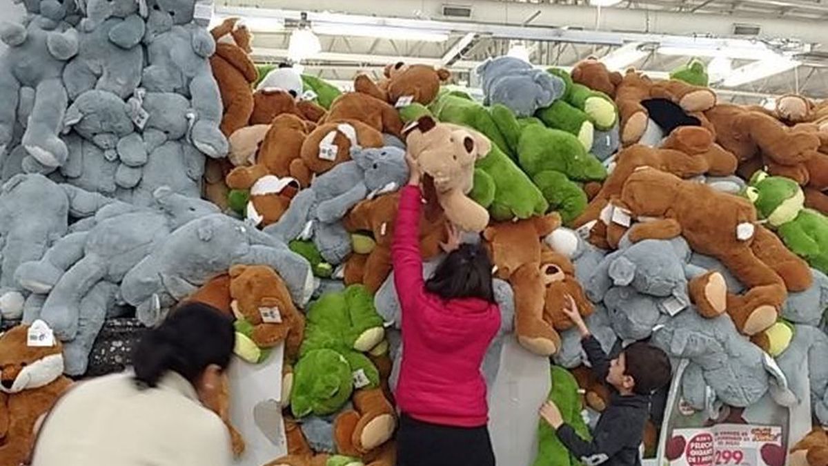 Neuquinos desesperados por peluches de oferta