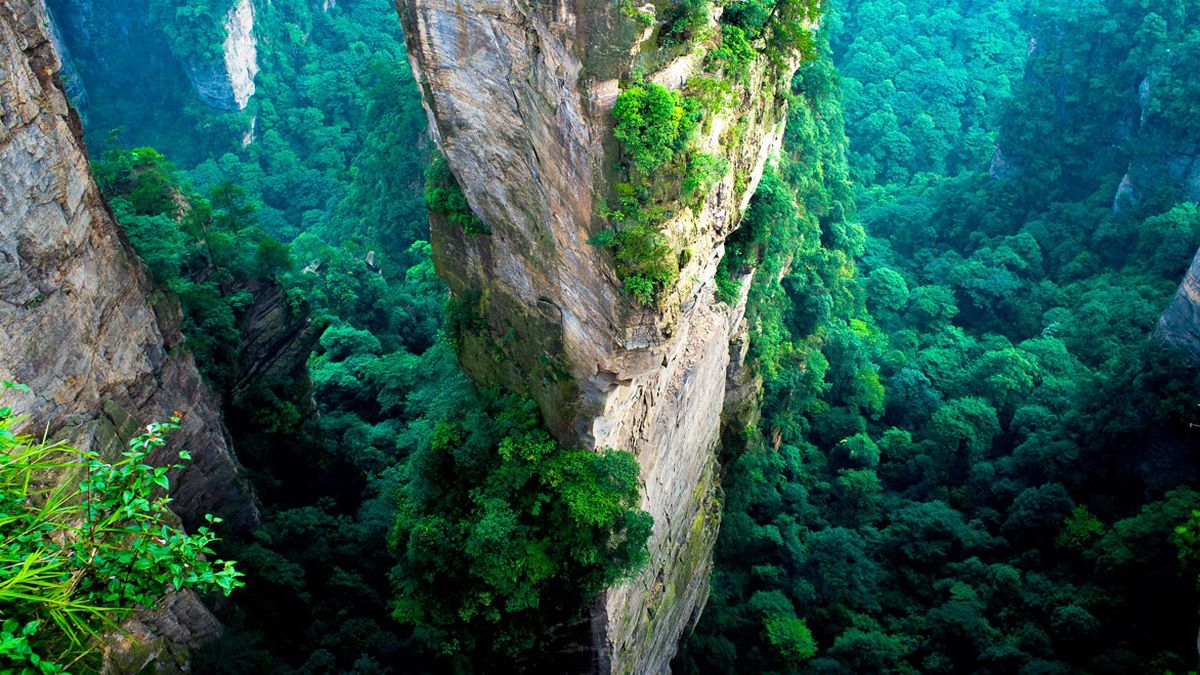 Parque Nacional del Bosque de Zhangjiajie en China