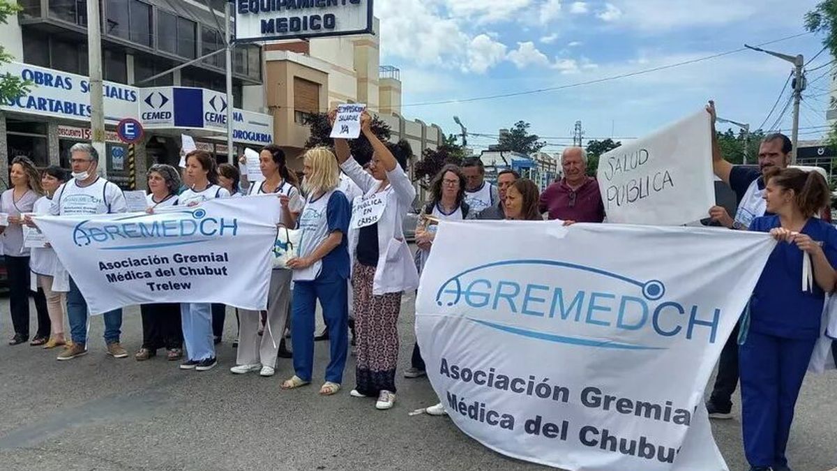 medicos-realizaran-un-paro-48-horas-hospitales-chubutjpg