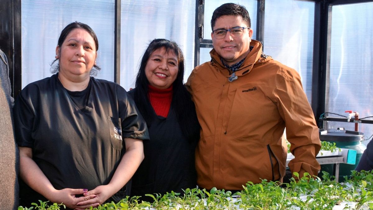 Inauguran invernaderos hidropónicos en Río Gallegos para producción alimentaria