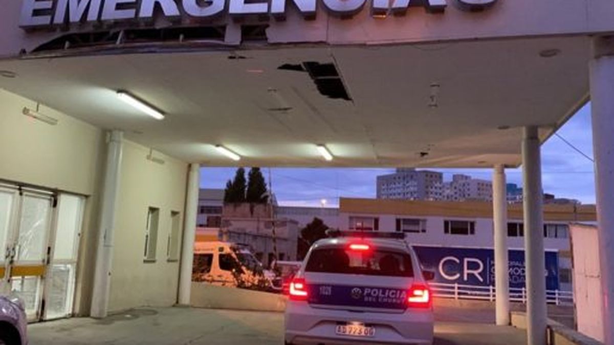 Un policía herido por un perro en un incidente en Comodoro Rivadavia
