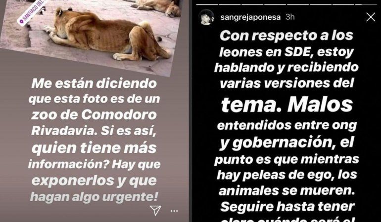 La China Suárez denunció maltrato animal en un zoológico: ¿de Comodoro?