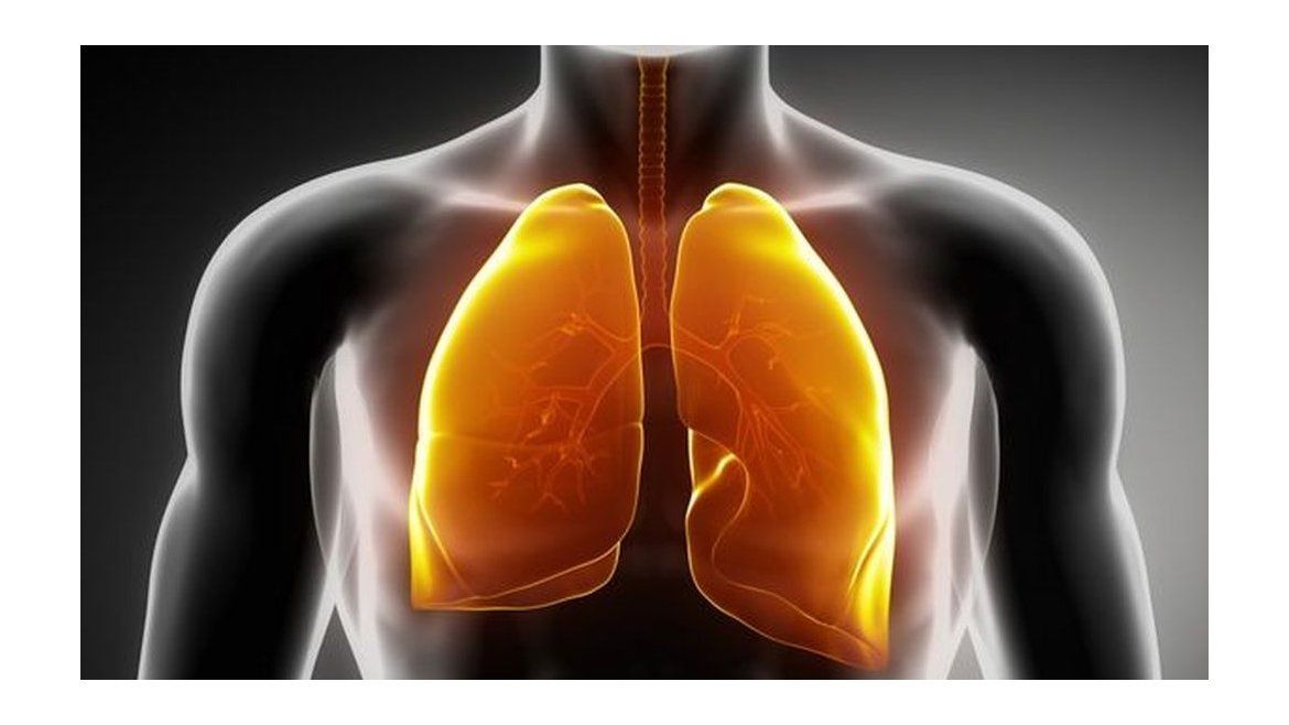 Imagenes Pulmones