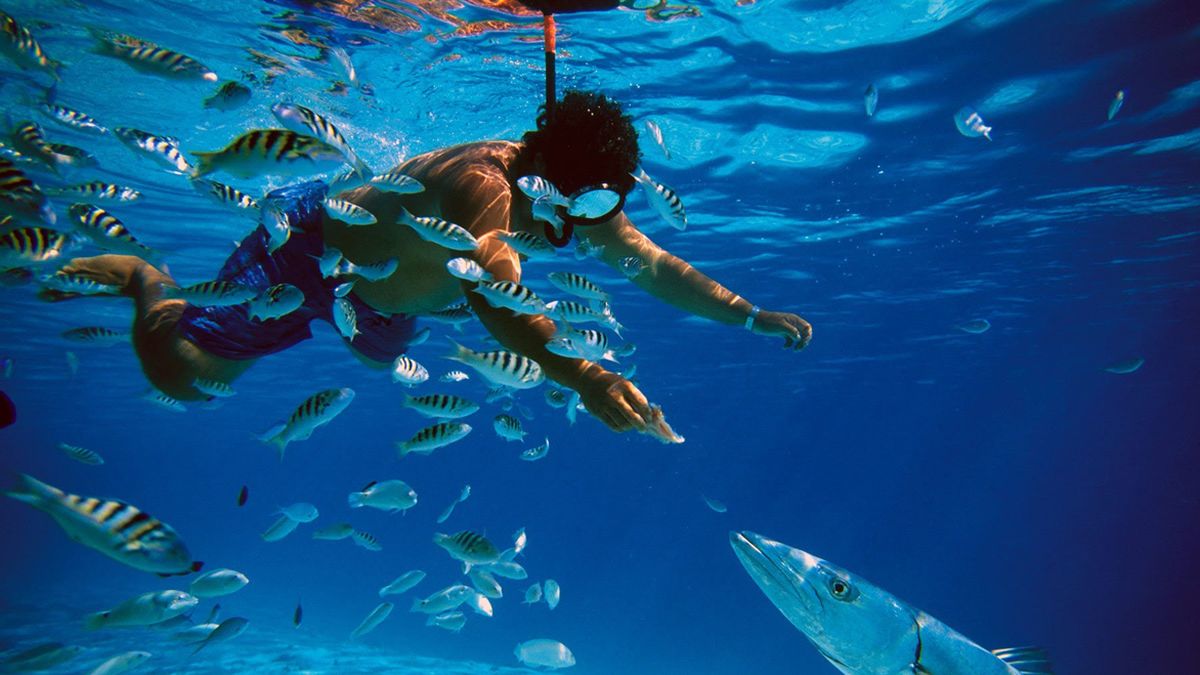 Cozumel: el paraíso del buceo