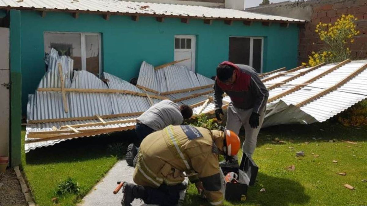 La caída de árboles y voladura de techos por el temporal de viento