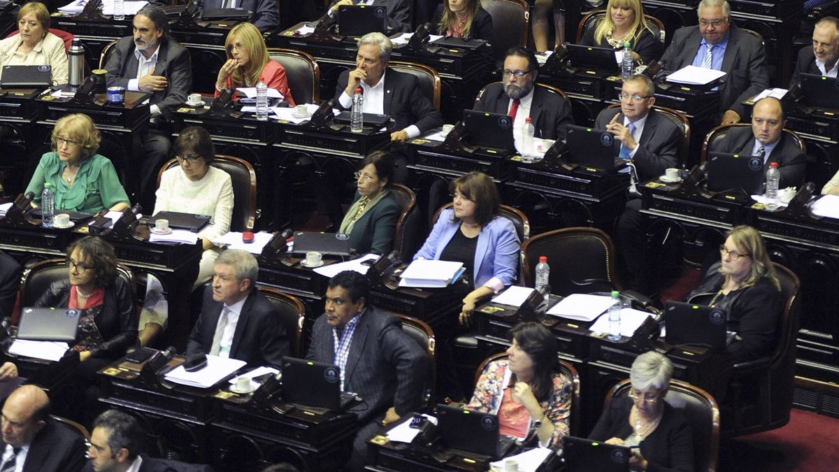 Logró media sanción la creación de la empresa Yacimientos Carboníferos